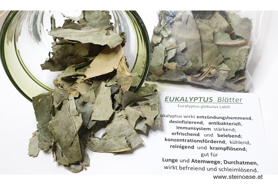 Eukalyptus Blätter 